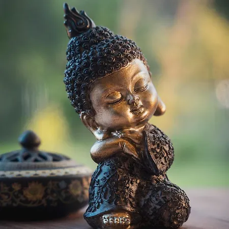 Wisdome ラグジュアリーテント Farád