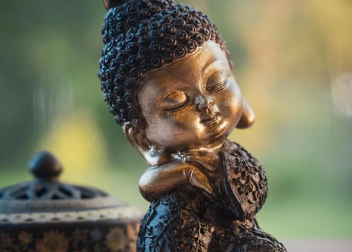 Wisdome 럭셔리텐트 Farád